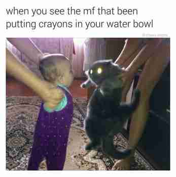 Pienokainen kohtaa börheyden voimat :3