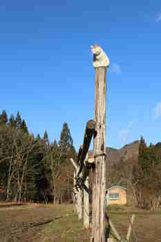 Tilukset tasapainoisessa tarkastelussa :3