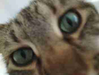 Midäs däällä dabahduu?