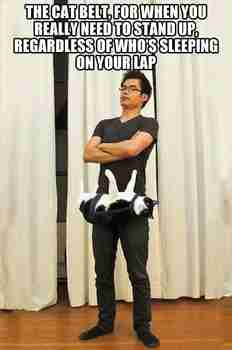 Tosimiehen täsmäasuste