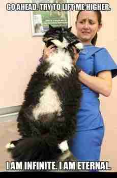 Päättymätön börh :3