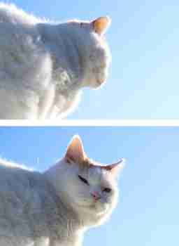 Kuohkea poutabörh :3