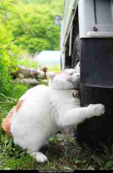 Kohta on tasapainoiset kesärenkaat alla :3