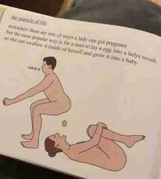 Nyt sitten luolastolaisetkin sen tietää