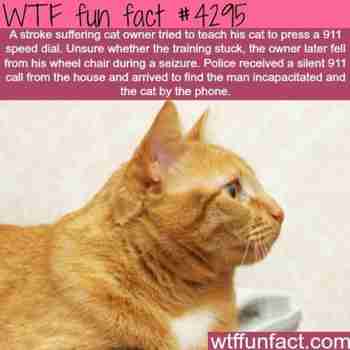 Soitti hätänumeroon :3