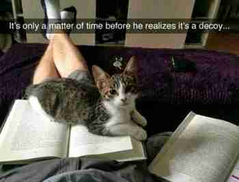 ...ja sitten tapahtuu börheitä asioita :3