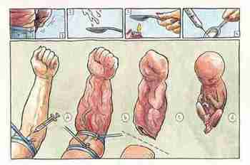 Naiset todistetusti turha sukupuoli