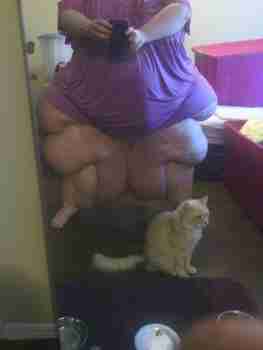 Anonyymi kissan kuvaaja