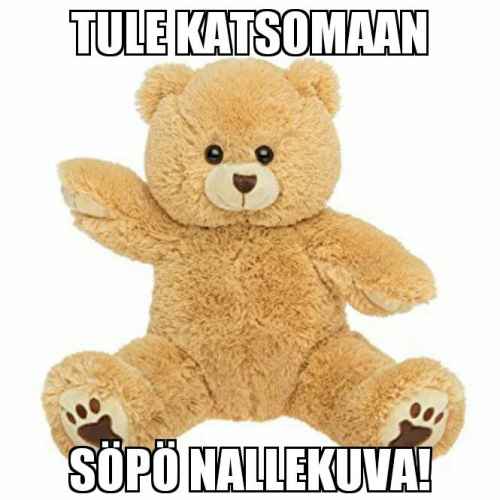 Söpö nallekuva