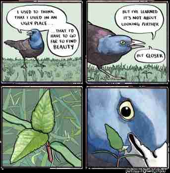 Kauneus on pientä ja matalaa