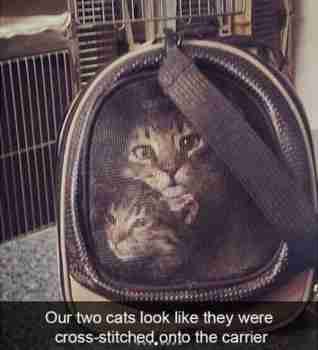 Harvinaisen onnistunut kirjontatyö :3