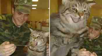 "syö itse kaalipaskasi"