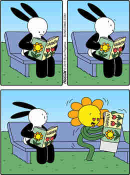 Kohta pöllähtää siitepölyt