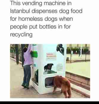 Ruoka-automaatti katukoirille