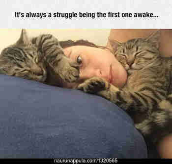 Alkaisi jo olla kiire töihin ;__; :3