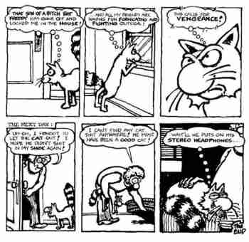 Läski-Freddyn kissa