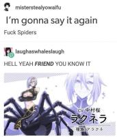 Fuck spiders
