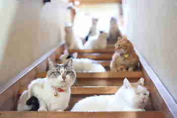 Taidanpa pysyä alakerrassa t. huumon ;__; :3