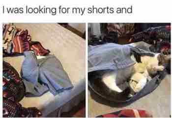 Shortsit oli jo käytössä