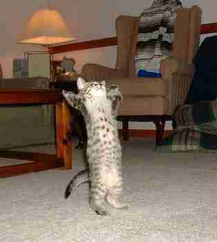 Wanna make something of it?