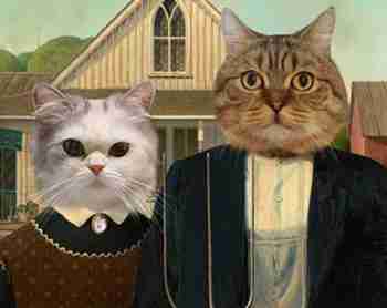 New Börherican Gothic