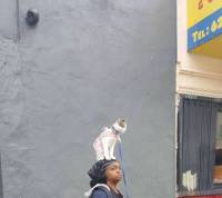 Kissa kävelyttämässä ihmistä