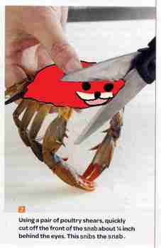 this snibs the snab :--DDD