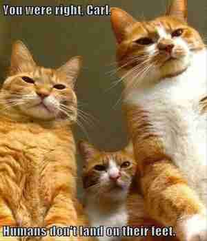 Tieteellinen johtopäätös >:3