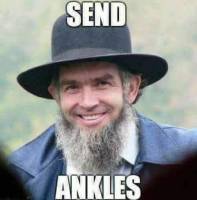 Amish perv