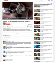 Mieltäylentäviä youtube eläinvideoita