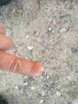 kullimestarin pyynnöstä