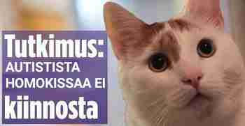 Autistista homokissaa ei kiinnosta
