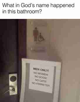 Ei ikinä uudestaan!