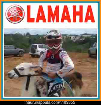 Lamaha