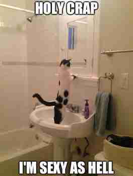 Oon börhee ja tiedän sen :3