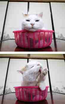 Audienssisi on päättynyt, huumon. >:3