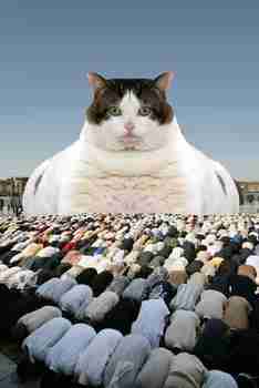 Where is your God now?! >:3