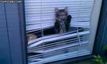 Missäs sitä ollaan oltu?