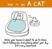 How to be a cat