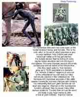 Ihan vitun normaalia