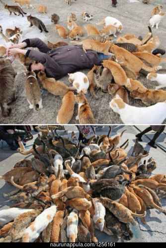 Lepää börheydessä :3