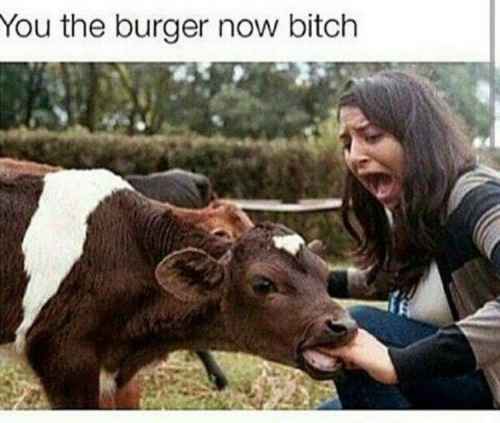 burgeri