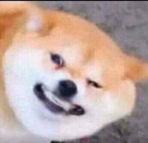 Ilmeeni kun väännän matolle paskaa