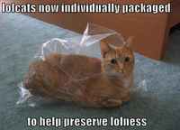 Midäs däällä on buuhattu :3 - kokoelma