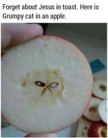 Grumpy apple