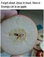 Grumpy apple