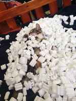 Tykkään pakkausmuroista!