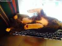 "Toivottavasti en ole tiellä yhtään"