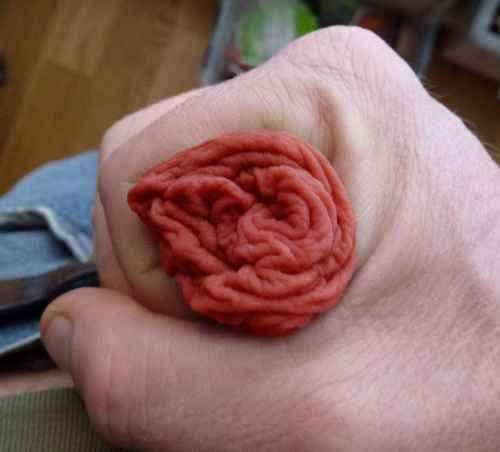 Harvinainen ruusulaji