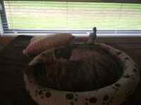 Vahtivuoro vaihtui :3